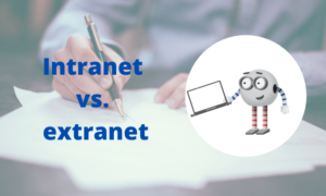 Vývoj B2B portálu: extranet a intranet jako celek