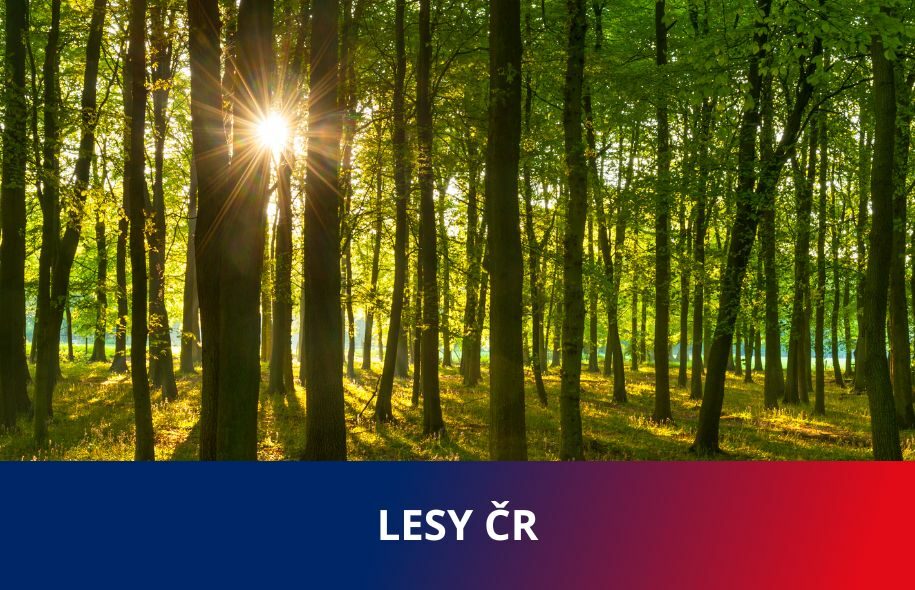 Lesy České republiky, s.p.