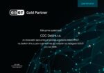 ESSET Gold Partner Certificate
